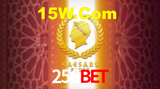 256bet App Interface